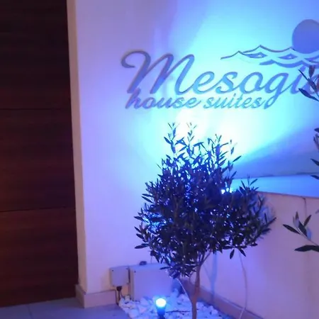 Mesogios House * 라르나카