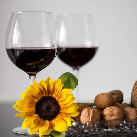 Mesogios House Daire *