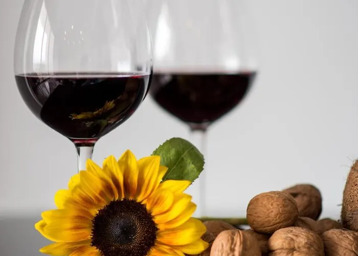 Mesogios House Appartamento *