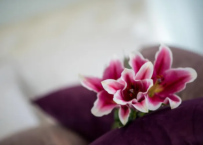 Appartamento Mesogios House *